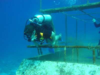 red sea_032.jpg